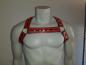 Preview: RACTION Harness „Testo“ – Built to frame. Built to lead