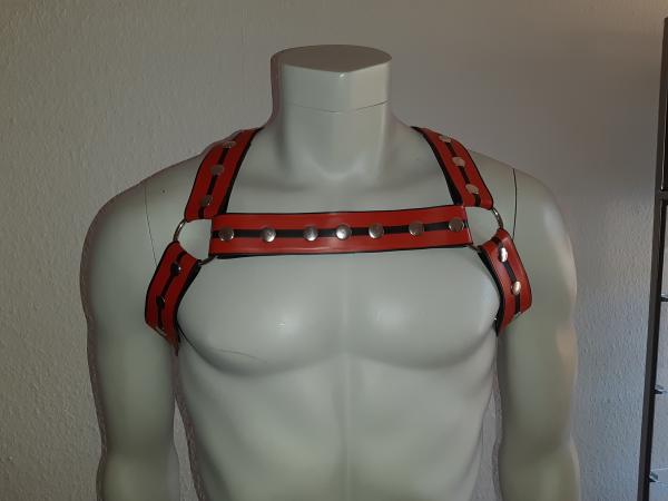 RACTION Harness „Testo“ – Built to frame. Built to lead